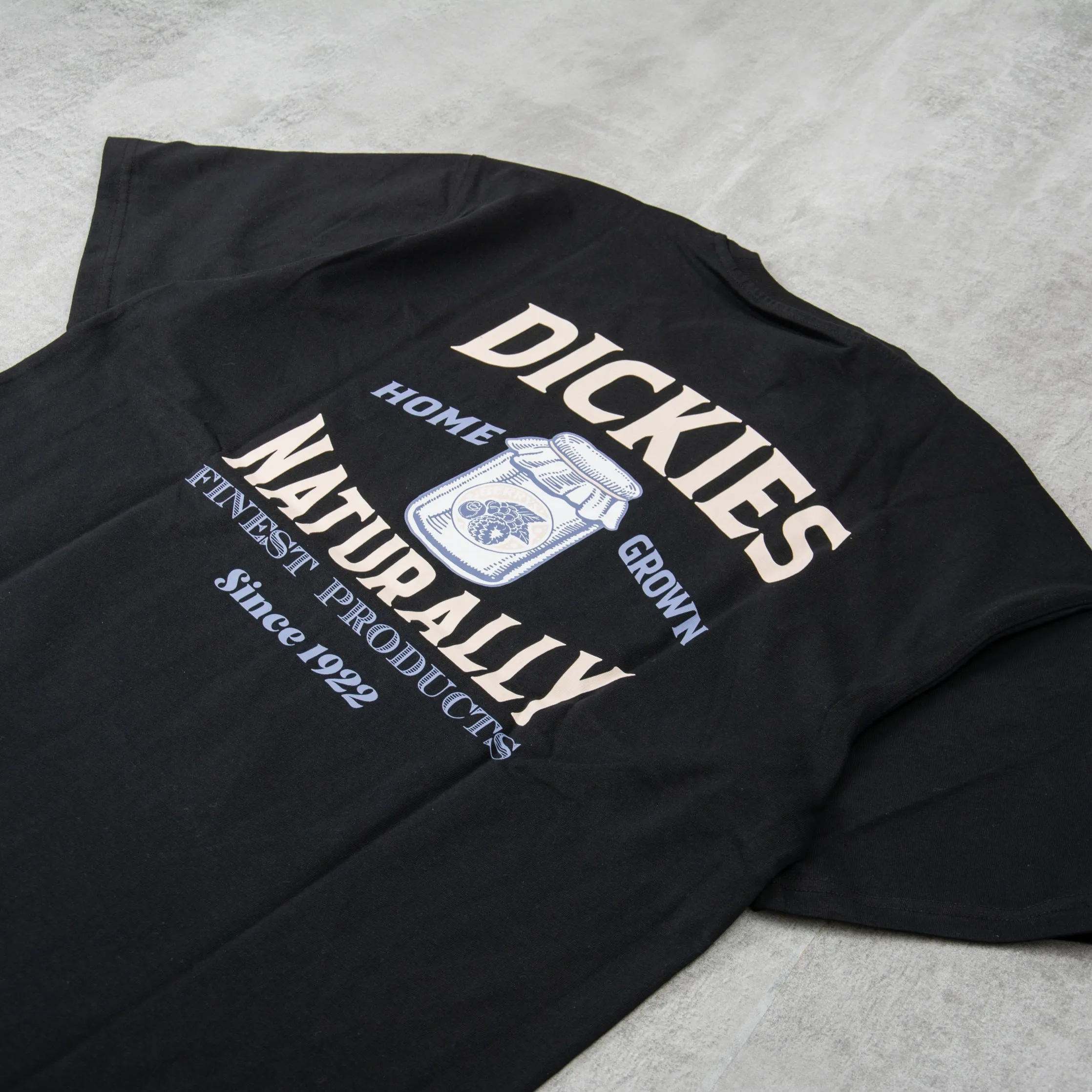 Dickies Elliston Tee - Black