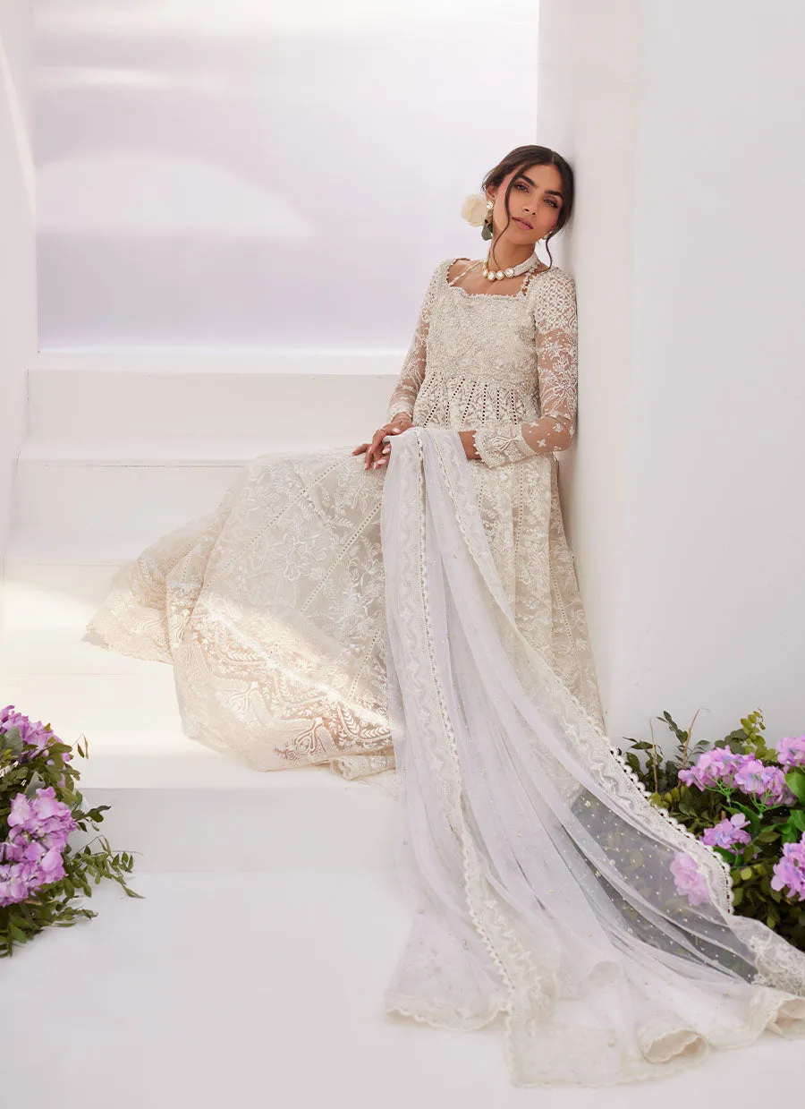 Maelle Ivory Embroidered and Embellished Kalidaar